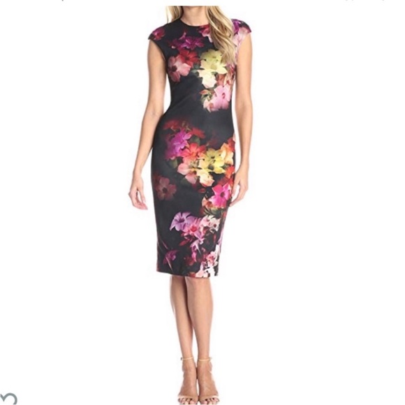 Ted Baker Dresses & Skirts - Ted Baker Catina Floral Midi Dress